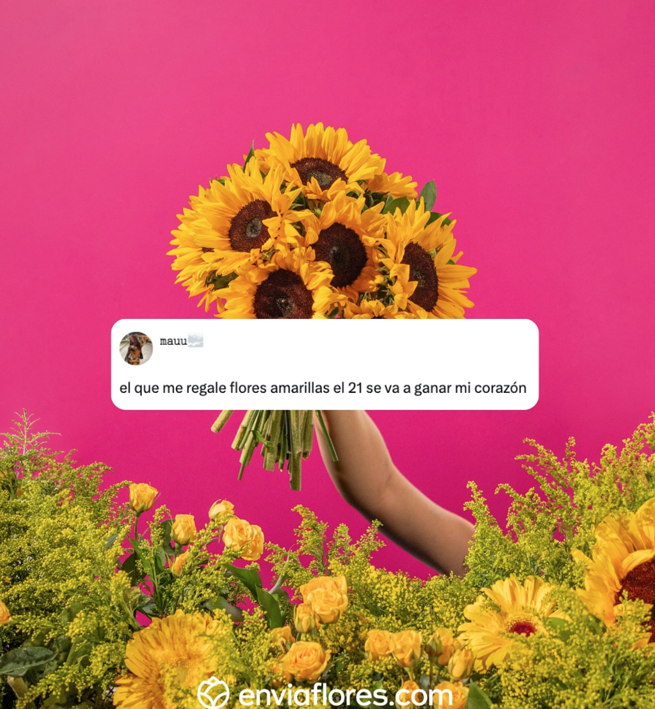 Enviaflores1