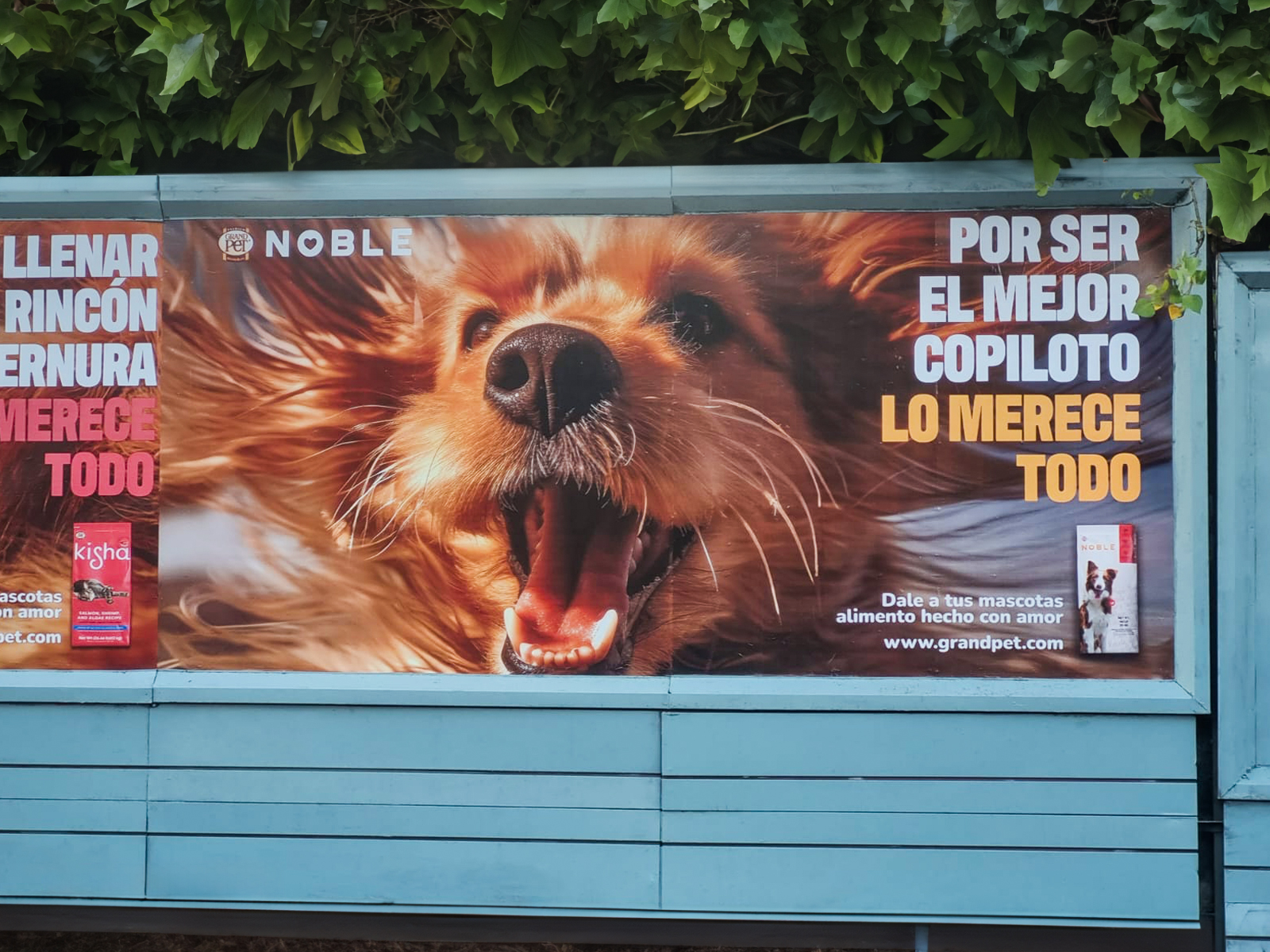 vallas fijas publicitarias grand pet